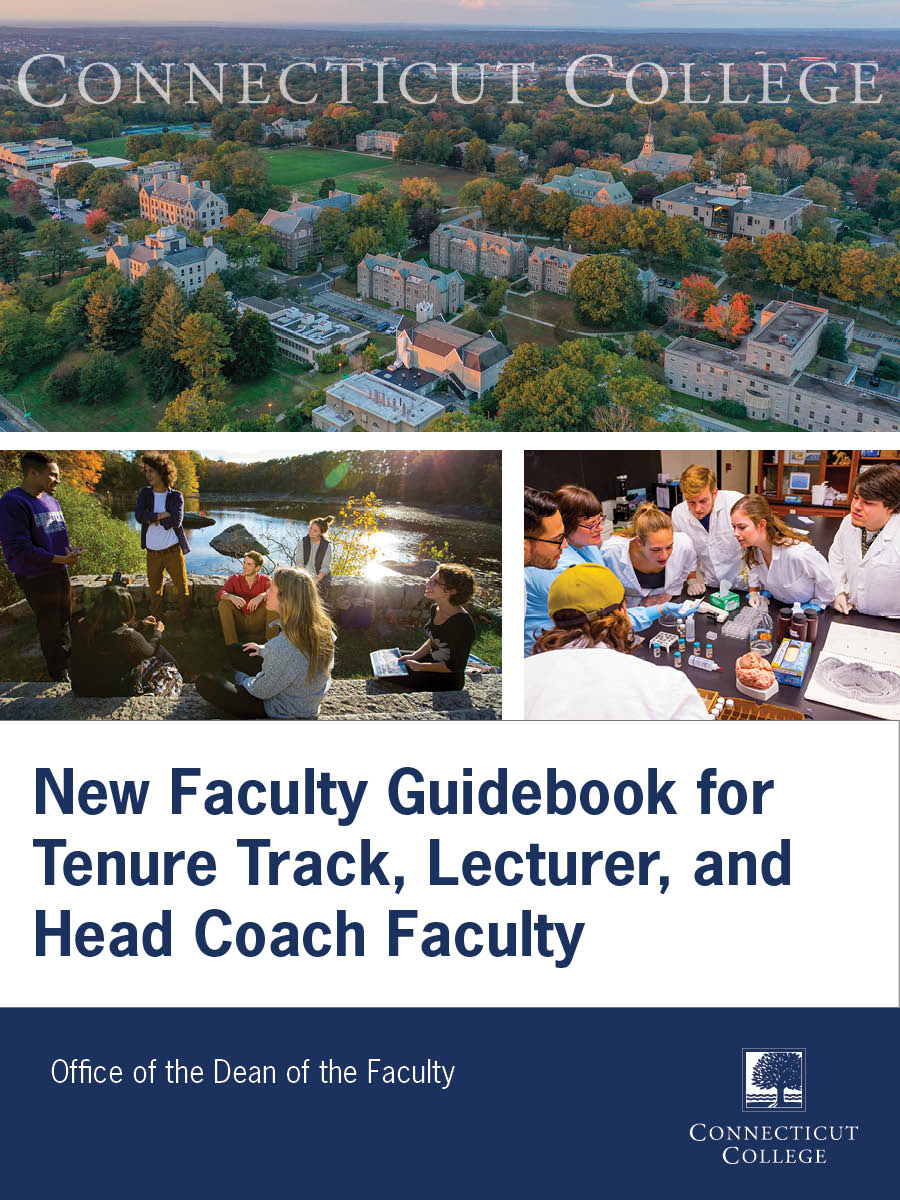 Cover image for New Faculty Guidebook for Tenure Track, Lecturer, and Head Coach Faculty