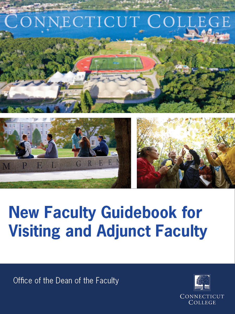 Cover image for New Faculty Guidebook for Visiting and Adjunct Faculty